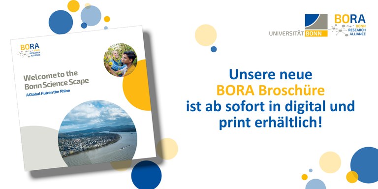 BORA Broschüre Header dt